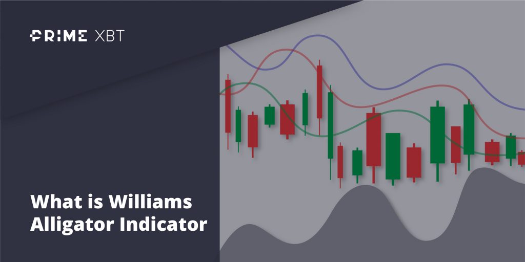 Williams Alligator Indicator Williams Alligator Indicator - williams alligator indicator