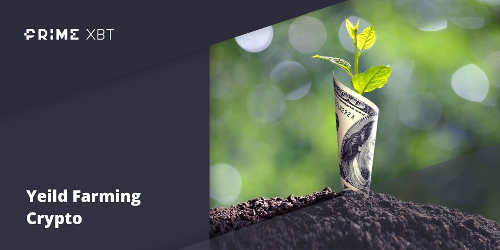 Yield Farming Crypto: Everything You Need To Know About The DeFi Trend Yield Farming Crypto: Everything You Need To Know About The DeFi Trend - blog primexbt