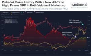 Market Research Report: BTC Undecided, DeFi Sends Altcoin Surging, Stocks Closed Lower Despite Biden’s Stimulus Market Research Report: BTC Undecided, DeFi Sends Altcoin Surging, Stocks Closed Lower Despite Biden’s Stimulus - DOT pass XRP 300x186