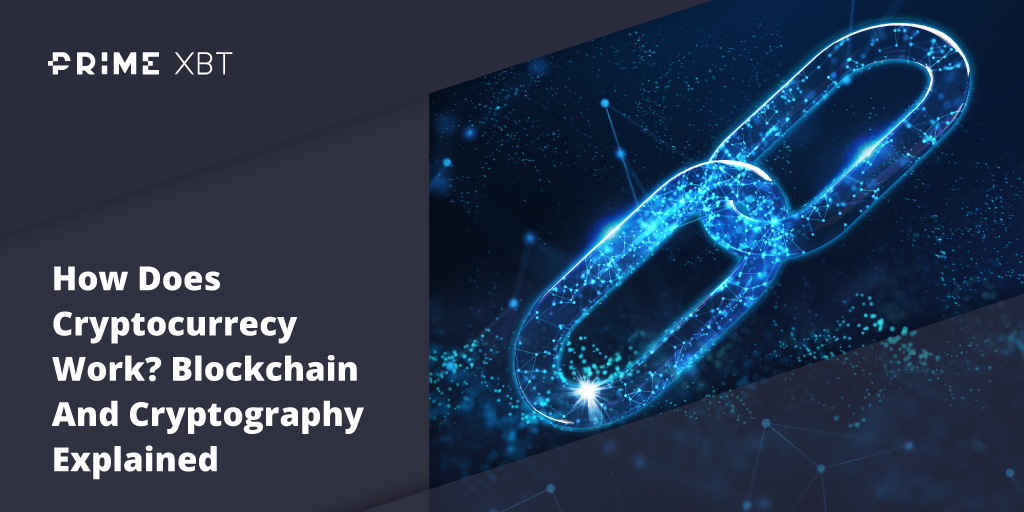 How Does Cryptocurrecy Work? Blockchain And Cryptography Explained How Does Cryptocurrecy Work? Blockchain And Cryptography Explained - Blog Primexbt xbt 28 04 3