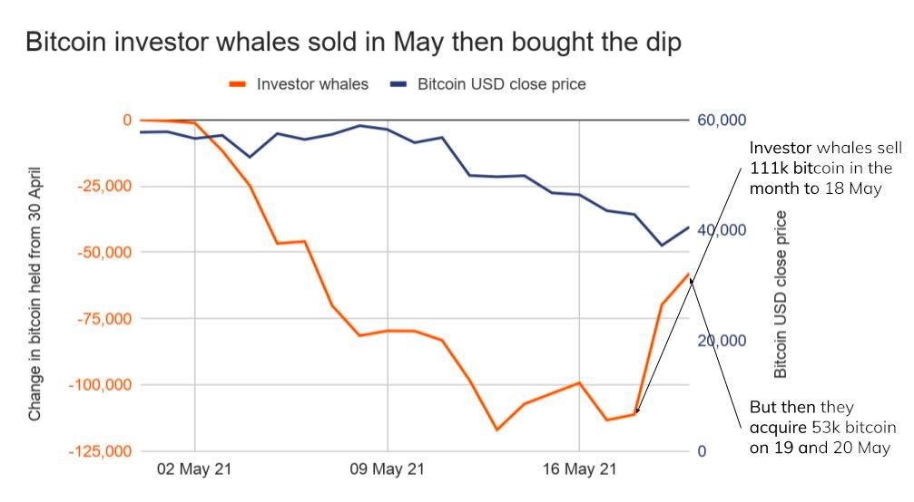 Market Research Report : Crypto Crashes Down as China Calls Ban While Stocks Have Rollercoaster Week Market Research Report : Crypto Crashes Down as China Calls Ban While Stocks Have Rollercoaster Week - BTC whale May movement