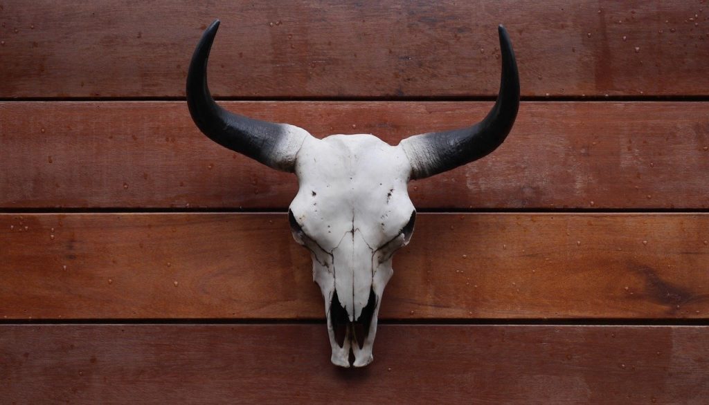 Is It The End Of The Cryptocurrency Bull Run? Is It The End Of The Cryptocurrency Bull Run? - image3 1024x586