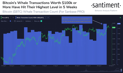 Market Research Report: BTC Smashes $50,000 While ETH Tips $4,000 and, SOL Soars Another 50% Market Research Report: BTC Smashes $50,000 While ETH Tips $4,000 and, SOL Soars Another 50% - unnamed2