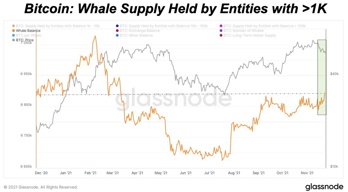 Market Research Report: Crypto Not Spared As New COVID Variant Sparkes Fears Market Research Report: Crypto Not Spared As New COVID Variant Sparkes Fears - BTC 1k whale added