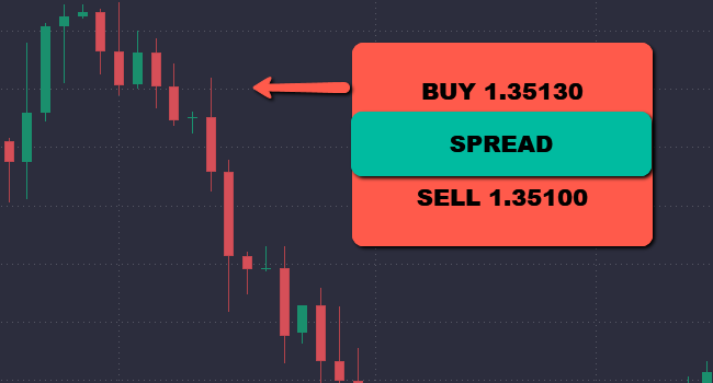 How to trade forex How to trade forex - image2 10